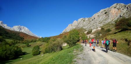hikers-walking-through-pathway-surrounded-by-hills-covered-greenery-sunlight (1)
